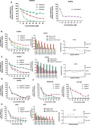 Apigenin Combined With Gefitinib Blocks Autophagy Flux and Induces Apoptotic Cell Death Through Inhibition of HIF-1α, c-Myc, p-EGFR, and Glucose Metabolism in EGFR L858R+T790M-Mutated H1975 Cells